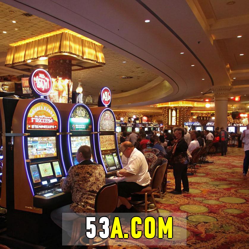 53a.com